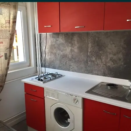 Lägenhet Garsoniera Ionut *